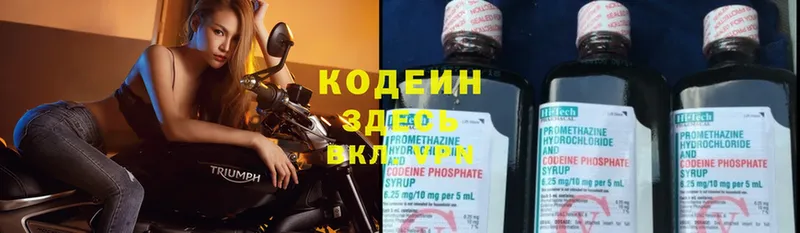 купить закладку  Емва  Codein Purple Drank 